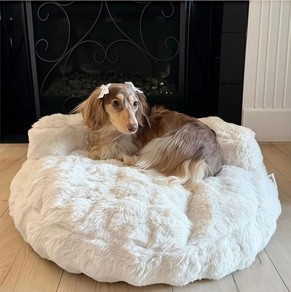 EHEYCIGA pet stairs for dogs and Indoor Cat Essentials