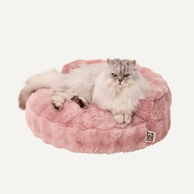 EHEYCIGA pet stairs for dogs and Indoor Cat Essentials